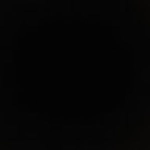 Meet your Posher, Rudolph